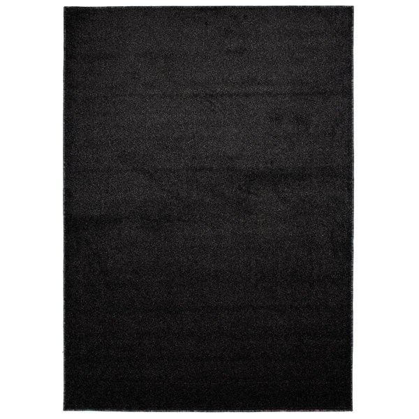 17 Stories Jerah Flatweave Black Rug Wayfair.co.uk